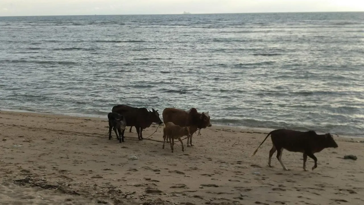 Lanta Dareen Resort Ko Lanta 2*,  タイ王国